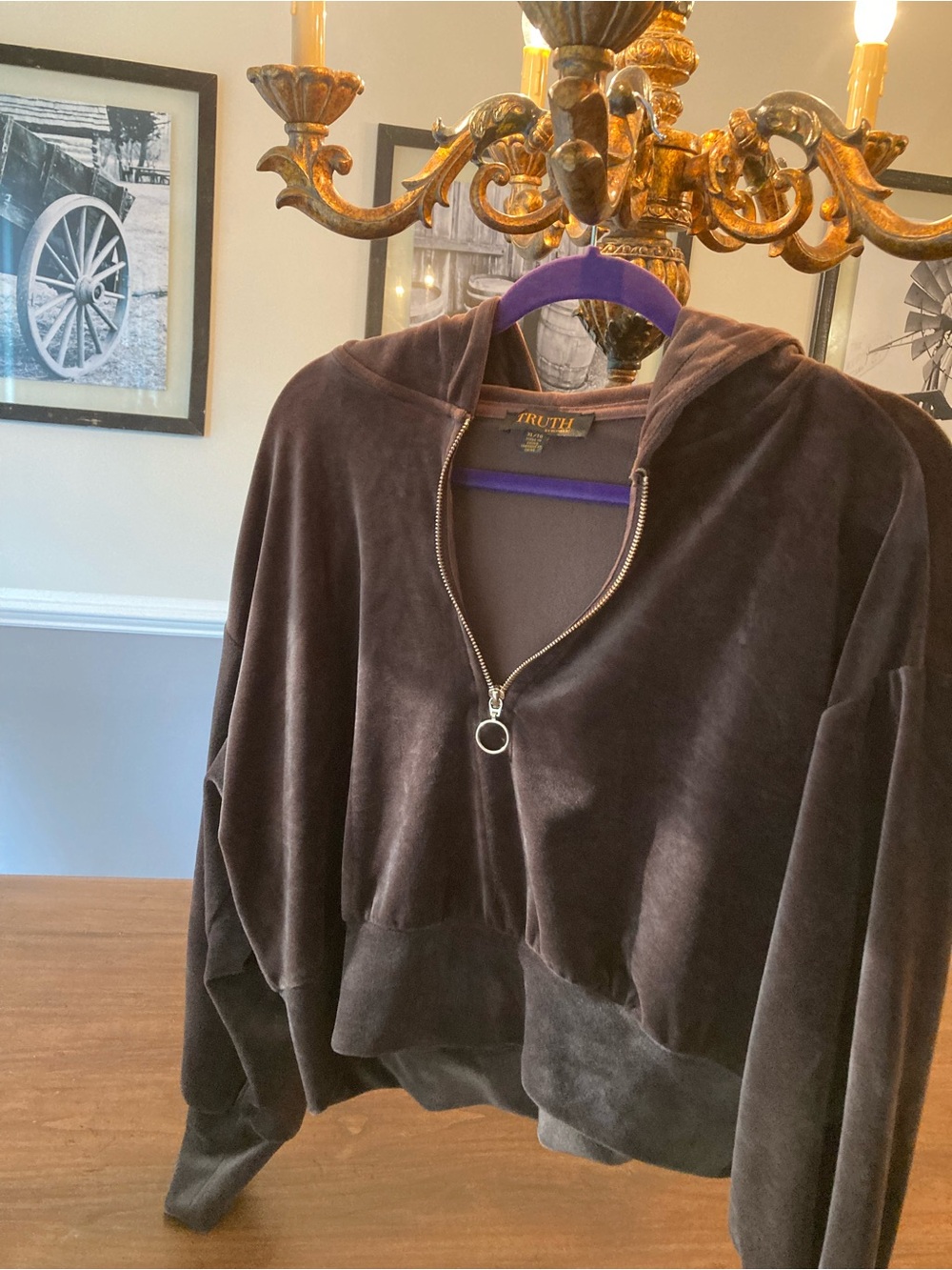 Truth Velvet Half-Zip cropped Hooded Sweatshirt in Brown